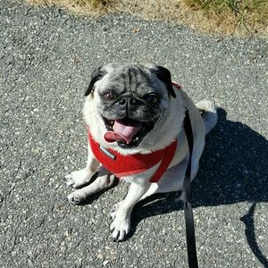 Meet your Posher, Tamara